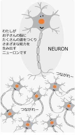 ニューロンの構造